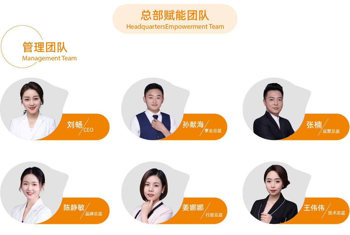 引领右脑品牌实力