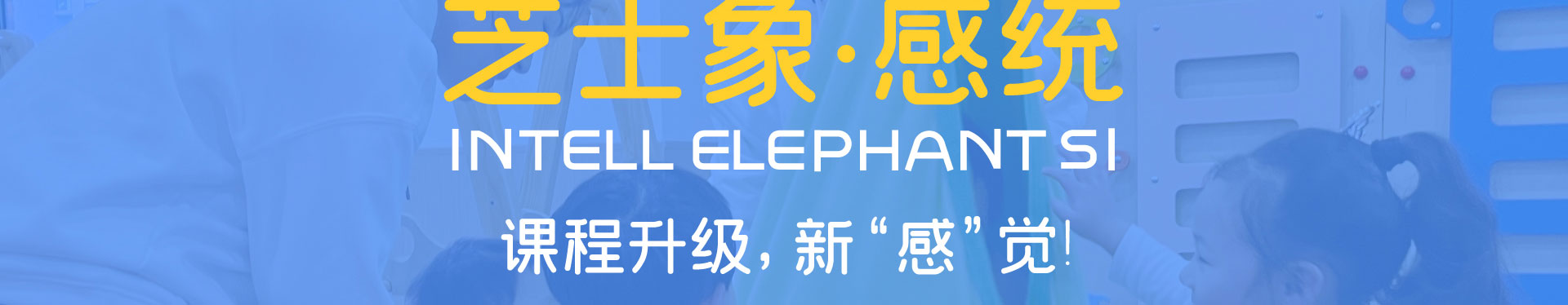 芝士象感统